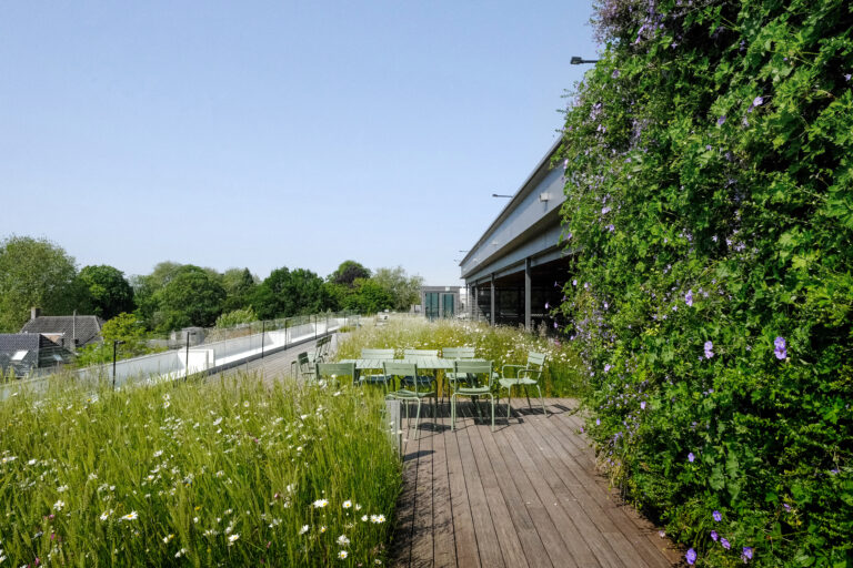 terrasse en bambou moso à lyon dans un espace publique